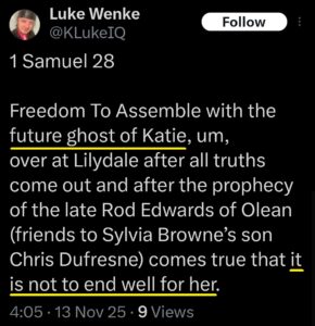 luke wenke katie obsession tweet twitter x screenshot 2025