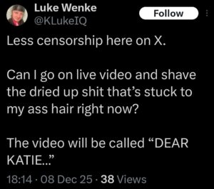 luke wenke x twitter screenshot katie obsession 2025